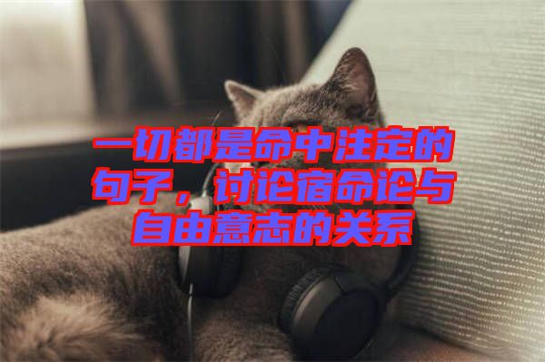 一切都是命中注定的句子,討論宿命論與自由意志的關系