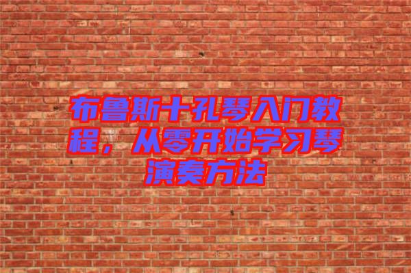 布魯斯十孔琴入門教程,從零開始學(xué)習(xí)琴演奏方法