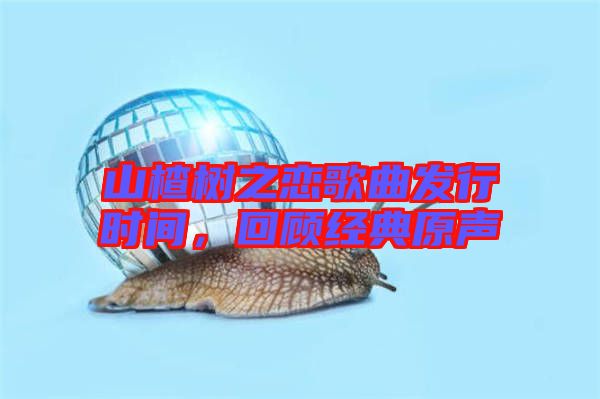 山楂樹(shù)之戀歌曲發(fā)行時(shí)間,回顧經(jīng)典原聲