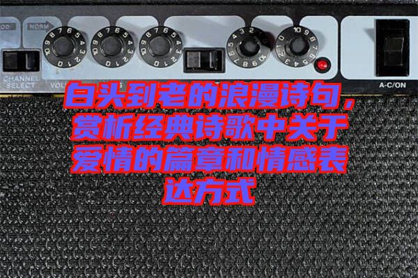 白頭到老的浪漫詩句,賞析經(jīng)典詩歌中關(guān)于愛情的篇章和情感表達(dá)方式