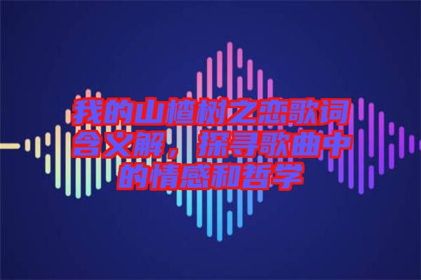 我的山楂樹之戀歌詞含義解,探尋歌曲中的情感和哲學(xué)