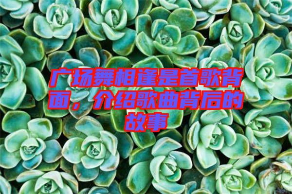 廣場(chǎng)舞相逢是首歌背面，介紹歌曲背后的故事