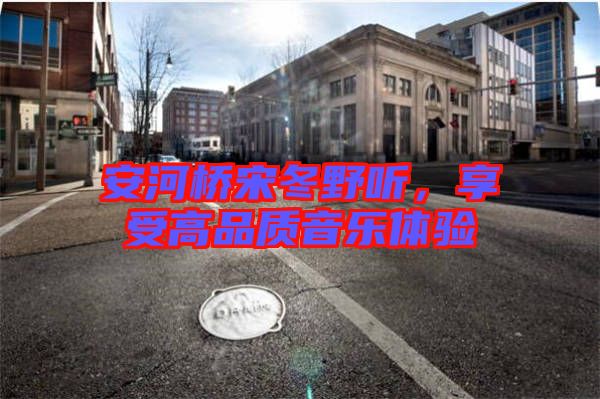 安河橋宋冬野聽，享受高品質(zhì)音樂體驗(yàn)