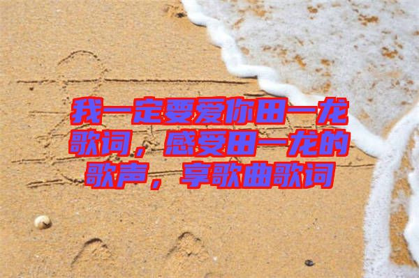 我一定要愛(ài)你田一龍歌詞,感受田一龍的歌聲,享歌曲歌詞