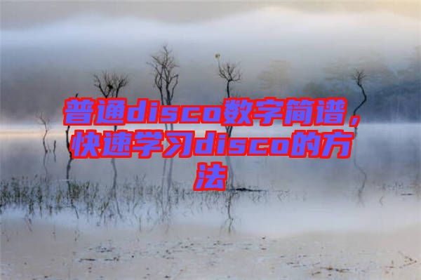 普通disco數字簡譜,快速學習disco的方法