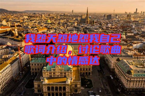 我怨天怨地怨我自己歌詞介紹,討論歌曲中的情感達