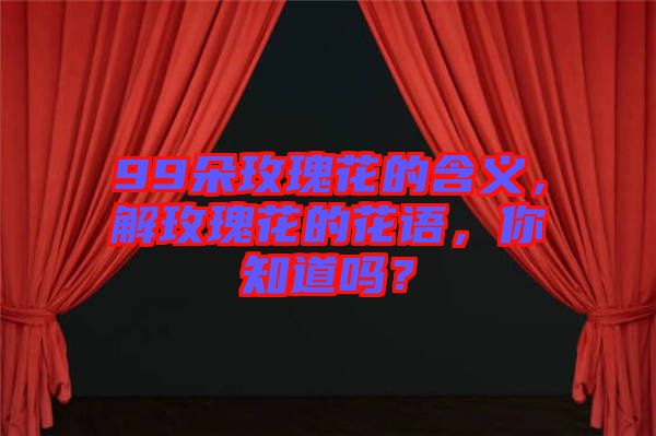99朵玫瑰花的含義，解玫瑰花的花語，你知道嗎？