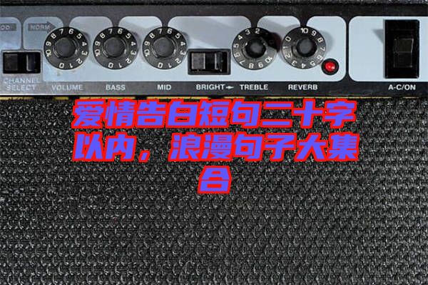愛情告白短句二十字以內，浪漫句子大集合