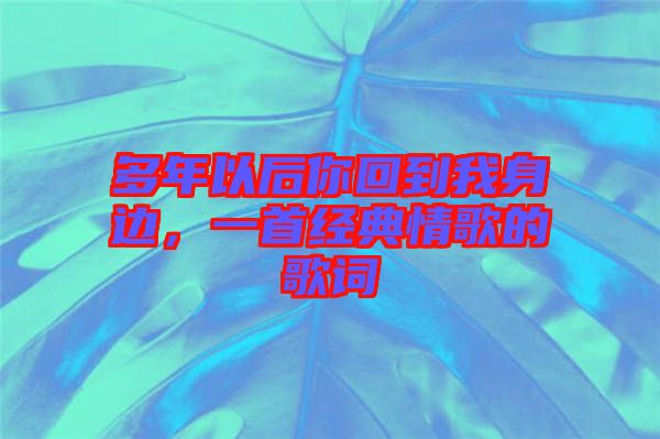 多年以后你回到我身邊，一首經典情歌的歌詞