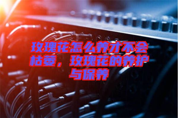 玫瑰花怎么養(yǎng)才不會枯萎,玫瑰花的養(yǎng)護與保養(yǎng)