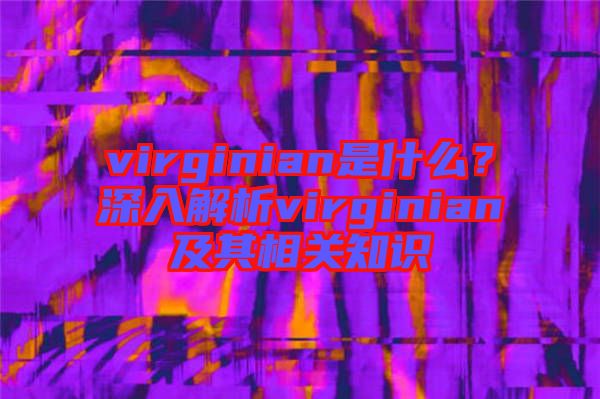 virginian是什么？深入解析virginian及其相關知識
