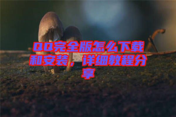 QQ完全版怎么下載和安裝，詳細教程分享