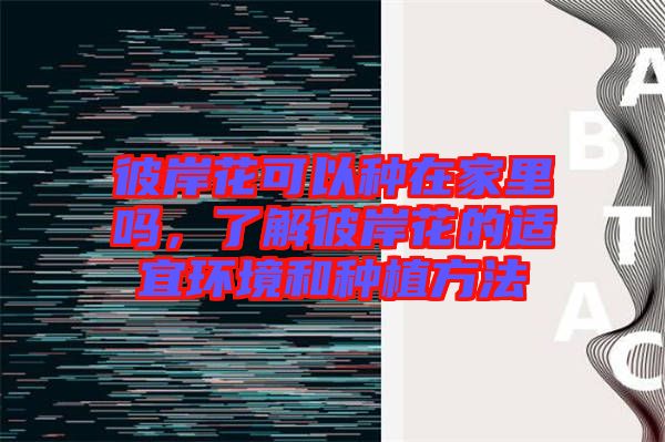 彼岸花可以種在家里嗎,了解彼岸花的適宜環(huán)境和種植方法