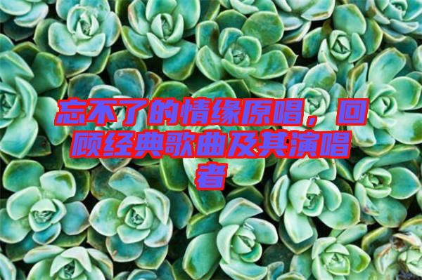 忘不了的情緣原唱,回顧經典歌曲及其演唱者