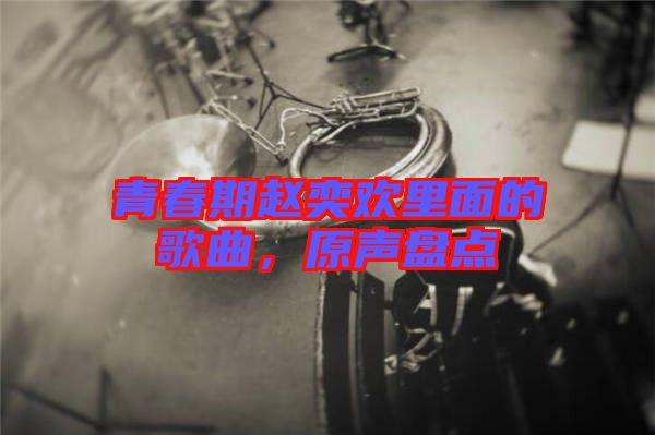 青春期趙奕歡里面的歌曲，原聲盤(pán)點(diǎn)