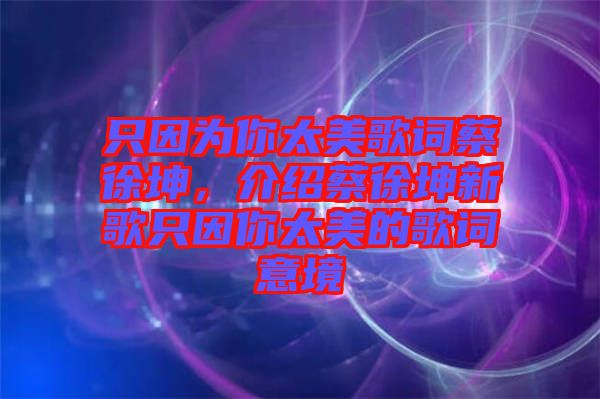 只因為你太美歌詞蔡徐坤，介紹蔡徐坤新歌只因你太美的歌詞意境