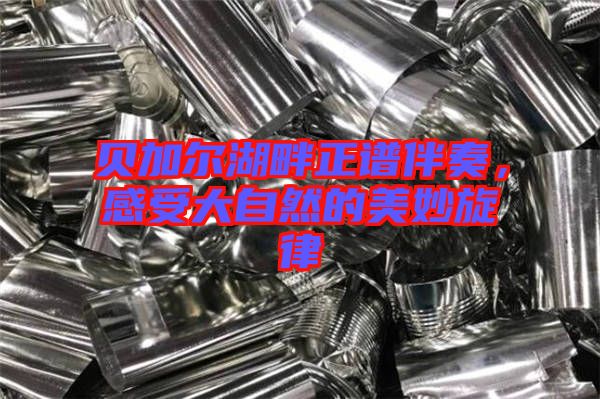 貝加爾湖畔正譜伴奏,感受大自然的美妙旋律