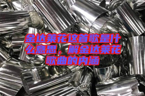 金達萊花這首歌是什么意思,解金達萊花歌曲的內涵