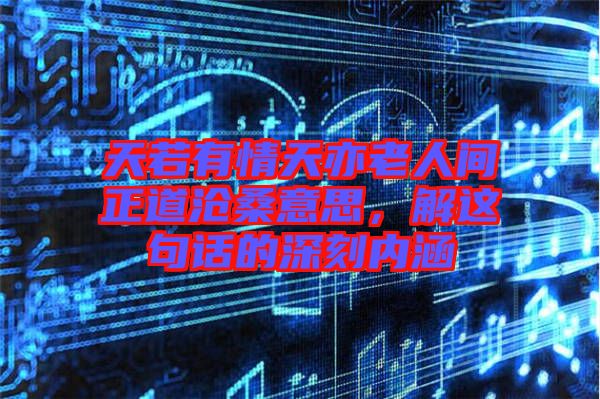 天若有情天亦老人間正道滄桑意思，解這句話的深刻內(nèi)涵