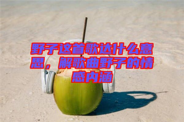 野子這首歌達(dá)什么意思,解歌曲野子的情感內(nèi)涵