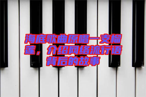 海底歌曲原唱一支榴蓮,介紹網(wǎng)絡(luò)流行語(yǔ)背后的故事