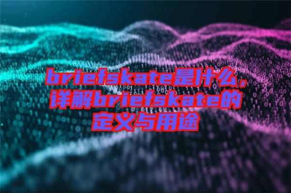 briefskate是什么,詳解briefskate的定義與用途