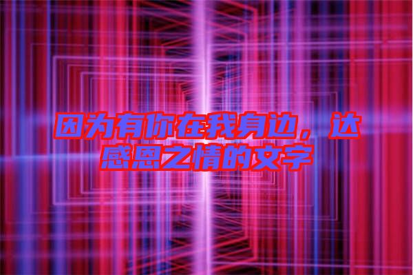 因?yàn)橛心阍谖疑磉?，達(dá)感恩之情的文字