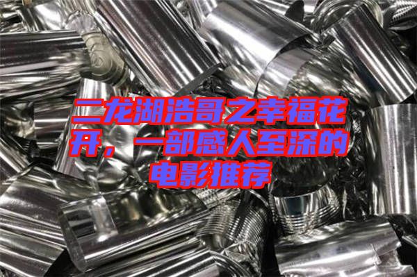 二龍湖浩哥之幸福花開,一部感人至深的電影推薦