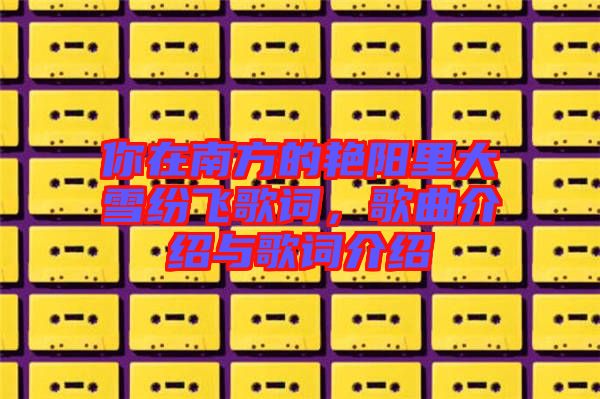 你在南方的艷陽(yáng)里大雪紛飛歌詞,歌曲介紹與歌詞介紹
