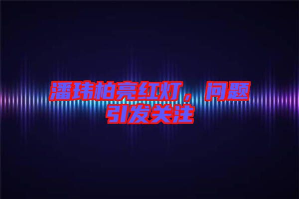 潘瑋柏亮紅燈,問題引發(fā)關注