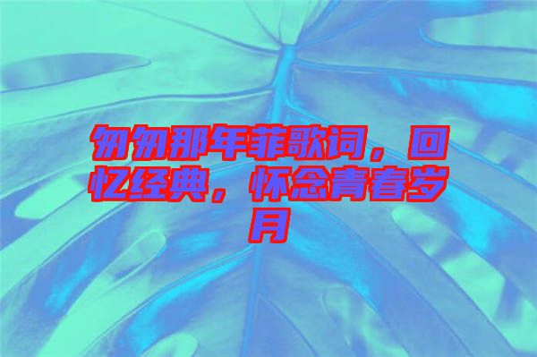 匆匆那年菲歌詞,回憶經(jīng)典,懷念青春歲月