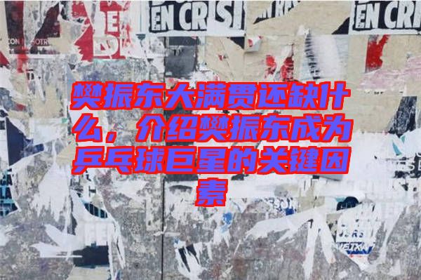 樊振東大滿(mǎn)貫還缺什么,介紹樊振東成為乒乓球巨星的關(guān)鍵因素