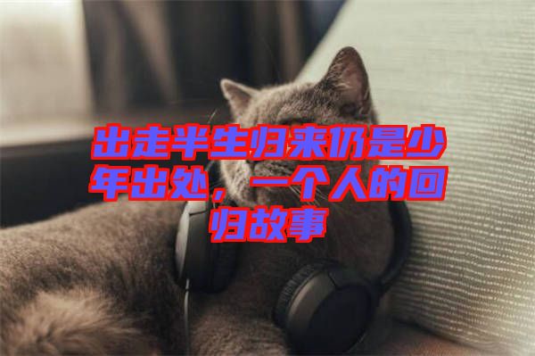 出走半生歸來仍是少年出處，一個人的回歸故事