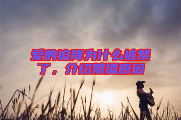愛的迫降為什么被禁了，介紹禁播原因