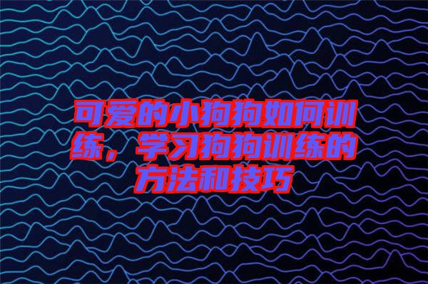 可愛的小狗狗如何訓練,學習狗狗訓練的方法和技巧