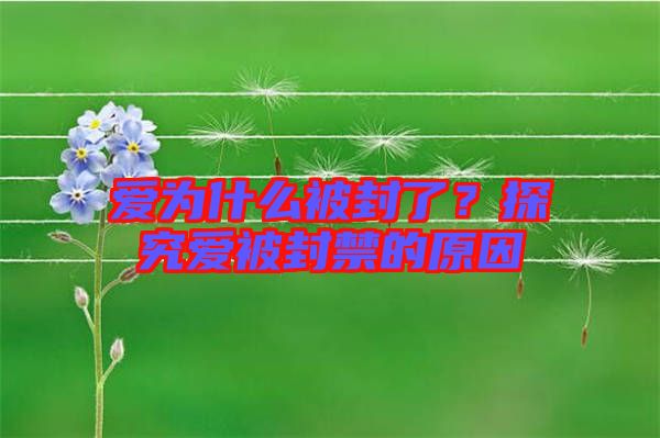 愛為什么被封了？探究愛被封禁的原因