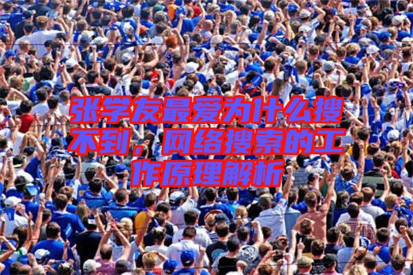 張學友最愛為什么搜不到，網絡搜索的工作原理解析
