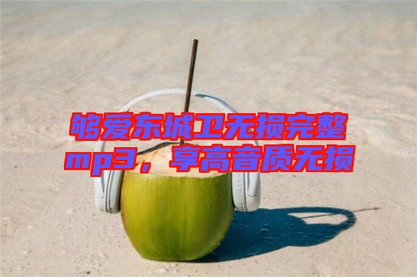 夠愛東城衛(wèi)無損完整mp3,享高音質無損