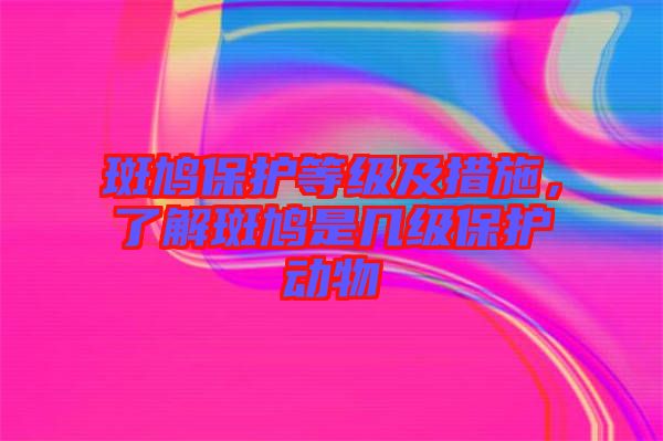 斑鳩保護等級及措施,了解斑鳩是幾級保護動物