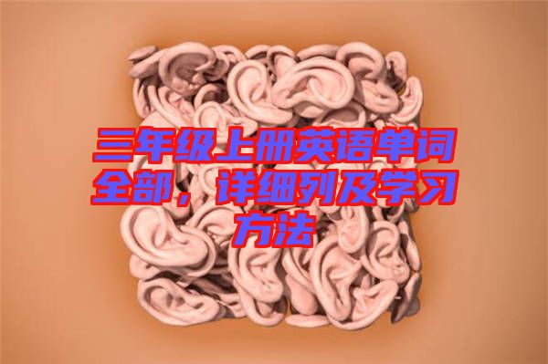 三年級上冊英語單詞全部,詳細(xì)列及學(xué)習(xí)方法