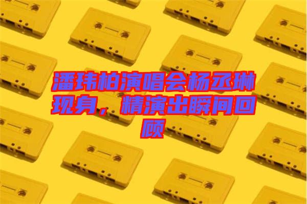 潘瑋柏演唱會楊丞琳現身,精演出瞬間回顧