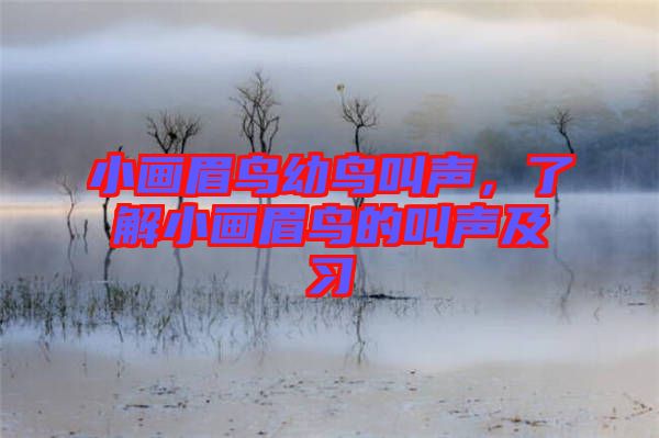 小畫眉鳥幼鳥叫聲,了解小畫眉鳥的叫聲及習(xí)