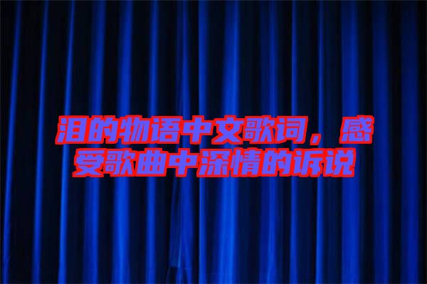 淚的物語中文歌詞,感受歌曲中深情的訴說