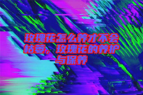玫瑰花怎么養(yǎng)才不會(huì)枯萎,玫瑰花的養(yǎng)護(hù)與保養(yǎng)