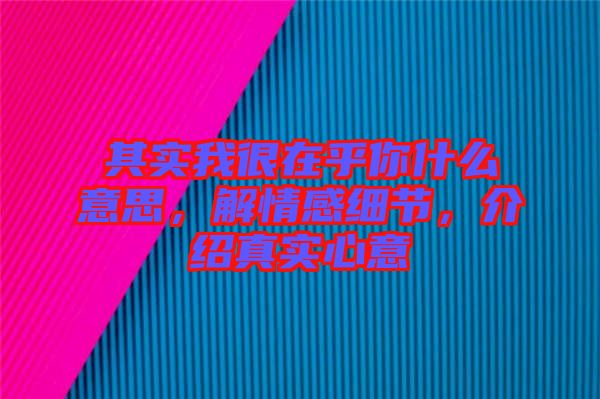 其實我很在乎你什么意思，解情感細節，介紹真實心意
