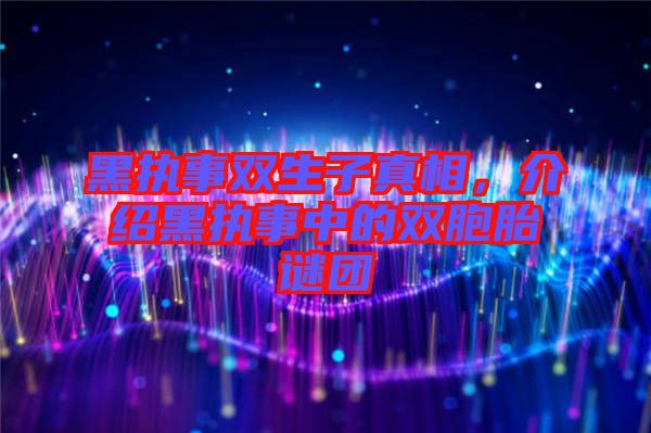 黑執事雙生子真相,介紹黑執事中的雙胞胎謎團