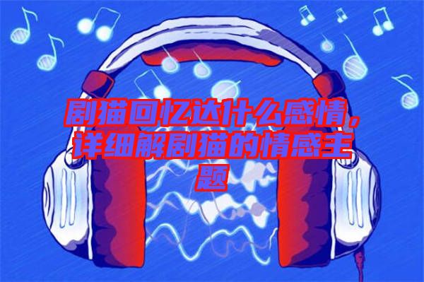 劇貓回憶達什么感情,詳細解劇貓的情感主題