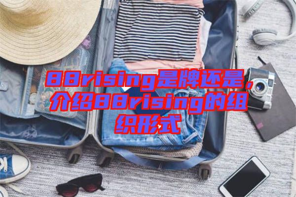 88rising是牌還是,介紹88rising的組織形式
