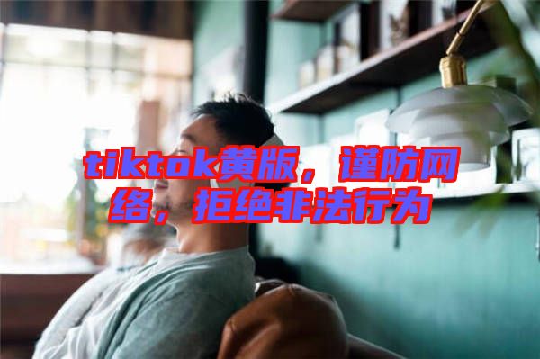 tiktok黃版,謹防網(wǎng)絡,拒絕非法行為