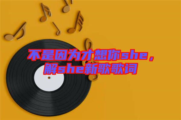 不是因為才想你she,解she新歌歌詞